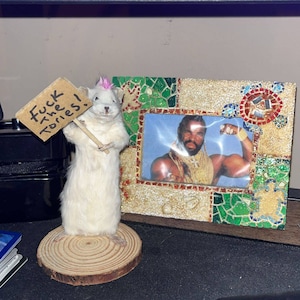 Sarah added a photo of their purchase