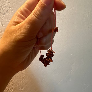 Sofia heeft een foto van de aankoop toegevoegd