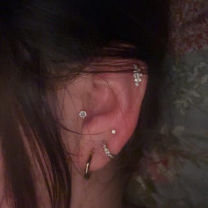 Melanie added a photo of their purchase