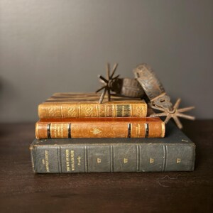 Brittany ha añadido una foto de su compra