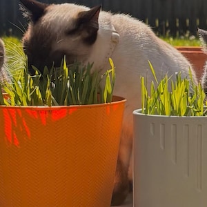 Macy added a photo of their purchase