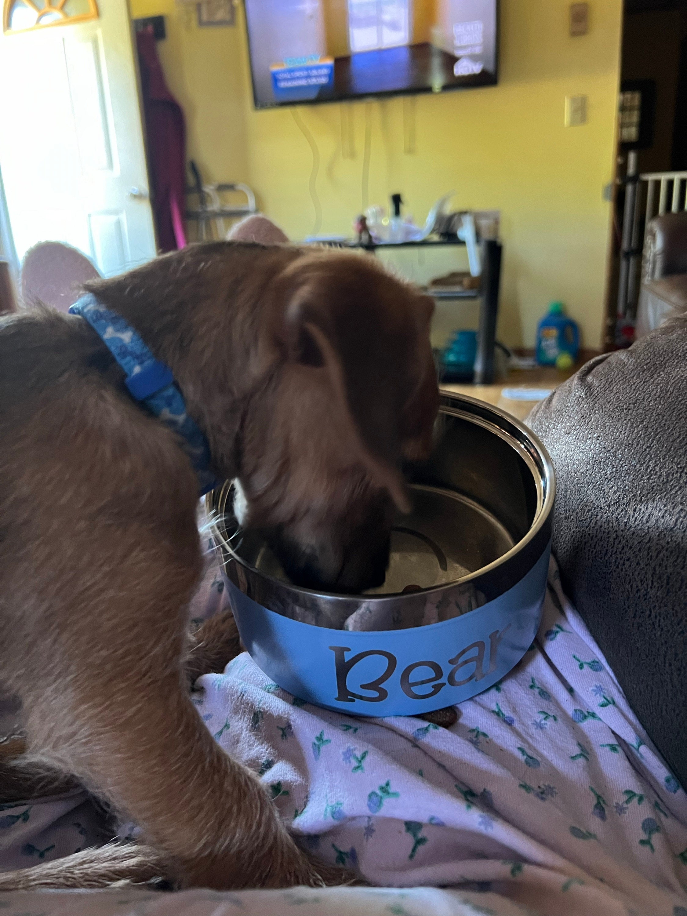 Custom Dog Bowl, Personalized Dog Food Bowl with Name, Dog Food/Water Bowls, Small-Large Bowls for Pet, Stainless Steel Cat Feeder Bowl Pet Gift