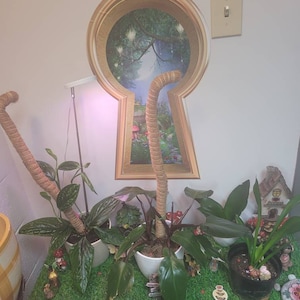 Coryn added a photo of their purchase