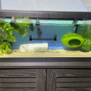 Morgan added a photo of their purchase