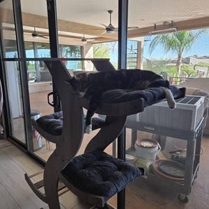 Janet added a photo of their purchase