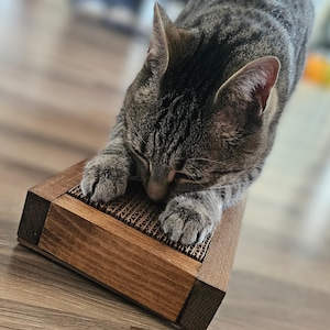 Beth added a photo of their purchase