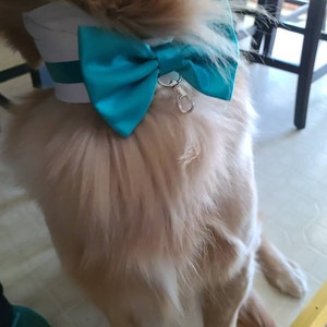 Larrissa added a photo of their purchase