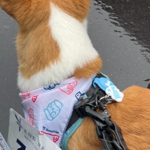 Chenil added a photo of their purchase