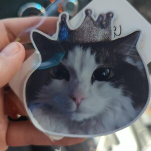 Lauren added a photo of their purchase
