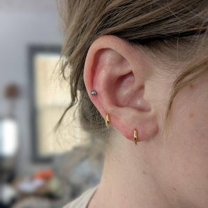 Louise added a photo of their purchase