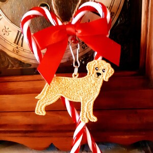 Debbie added a photo of their purchase