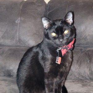 Tabitha added a photo of their purchase