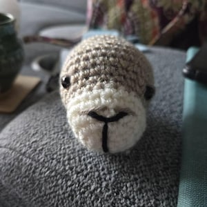 Jane added a photo of their purchase