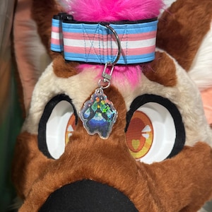 Mousse added a photo of their purchase