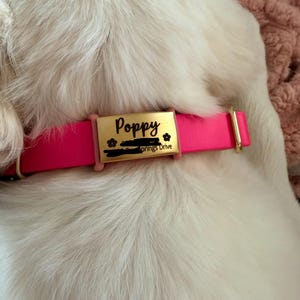 Samantha added a photo of their purchase