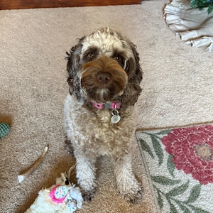 Bella added a photo of their purchase