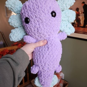 Kaitlin added a photo of their purchase
