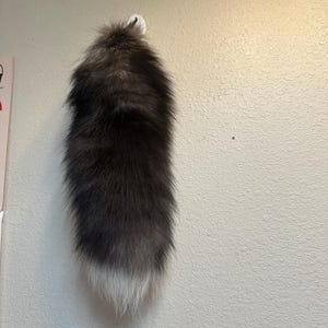 Ethical Farm Fur Real Arctic Fox Bushy Tail for Costumes Fur