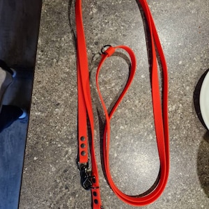 Dagmar added a photo of their purchase