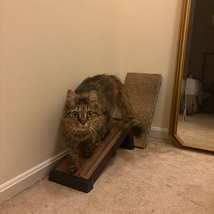 Alex added a photo of their purchase