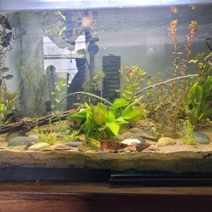 Arwen added a photo of their purchase