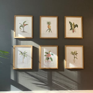 Kat heeft een foto van de aankoop toegevoegd