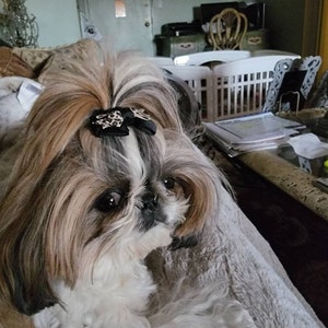 Linda a ajouté une photo de son achat