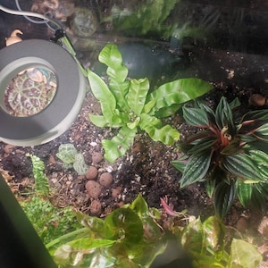 Pam added a photo of their purchase