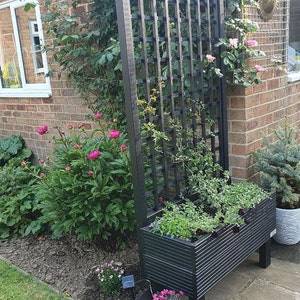Jill added a photo of their purchase