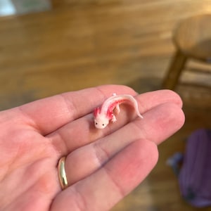 Kat added a photo of their purchase
