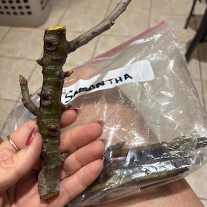 Samantha added a photo of their purchase