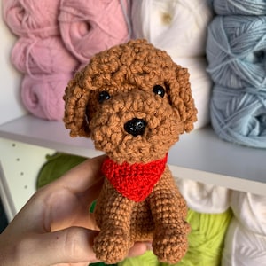 Rosa added a photo of their purchase