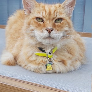 robyn added a photo of their purchase