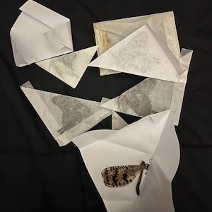 Sash added a photo of their purchase