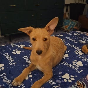 Jamie a ajouté une photo de son achat