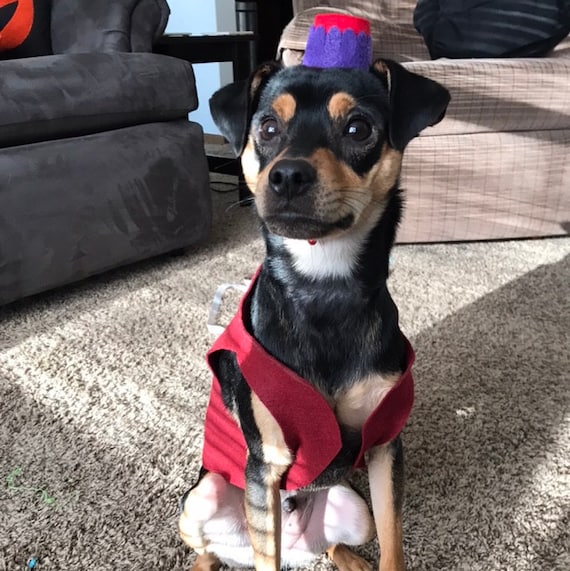Customer photo of a pet with the Fez Hat mini small pet Cat Dog Hedgehog Vogue