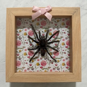 Andrea added a photo of their purchase