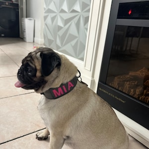Shana added a photo of their purchase