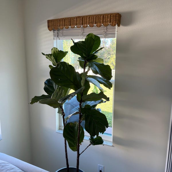 Rattan Scallop Window Pelmet, Window Wicker Cornice, Rattan Valance ...