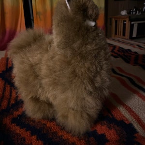Aimryta added a photo of their purchase