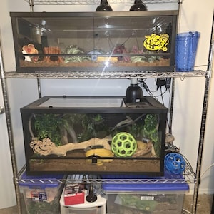 katlin added a photo of their purchase