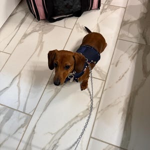 Colette added a photo of their purchase