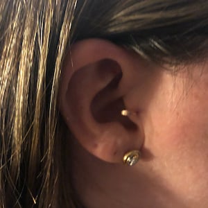 Mollie added a photo of their purchase