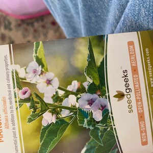 Marylin added a photo of their purchase