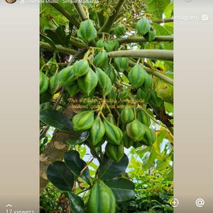 ria added a photo of their purchase