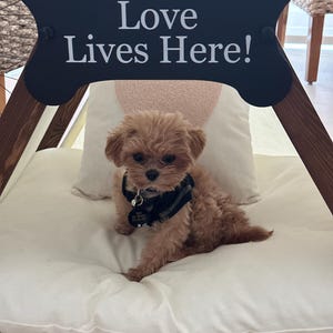 Jacqueline さんが購入した商品の写真を追加しました