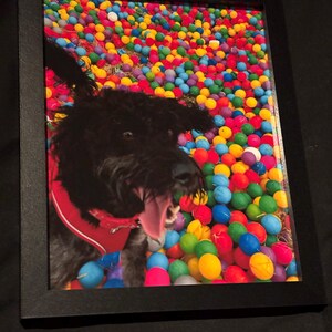 Chris added a photo of their purchase