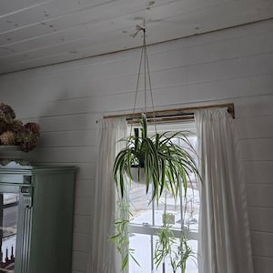 Jennie hat ein Foto des gekauften Artikels hinzugefügt