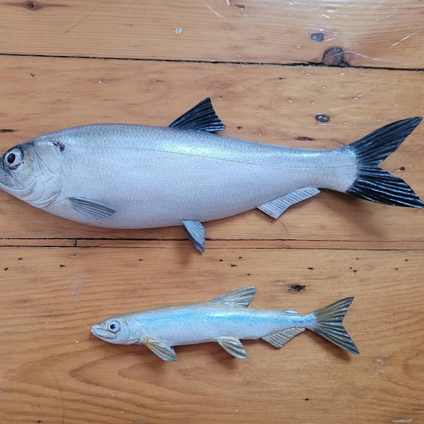 Brown Trout, Salmo Trutta, River Trout, 17-21 Inches 3D Wall Wooden ...