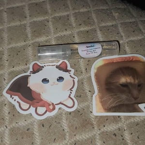 Chaille added a photo of their purchase